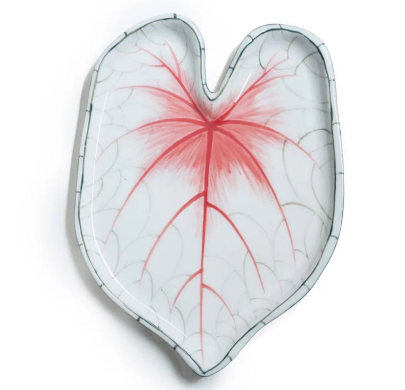 Pink Caladium Tray