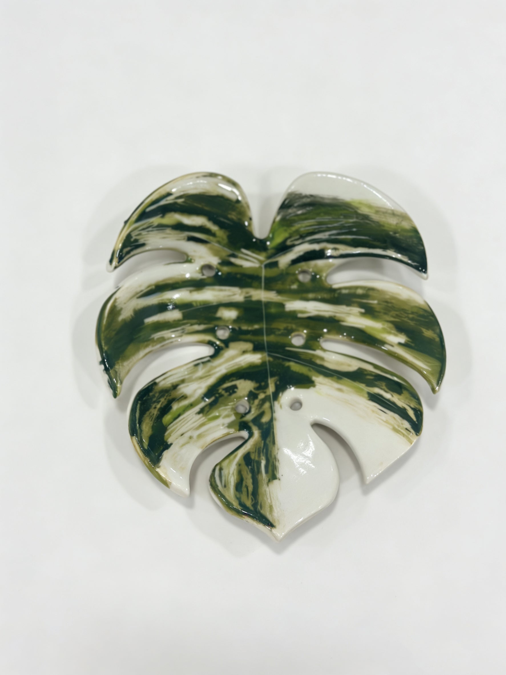 Monstera Albo Tray