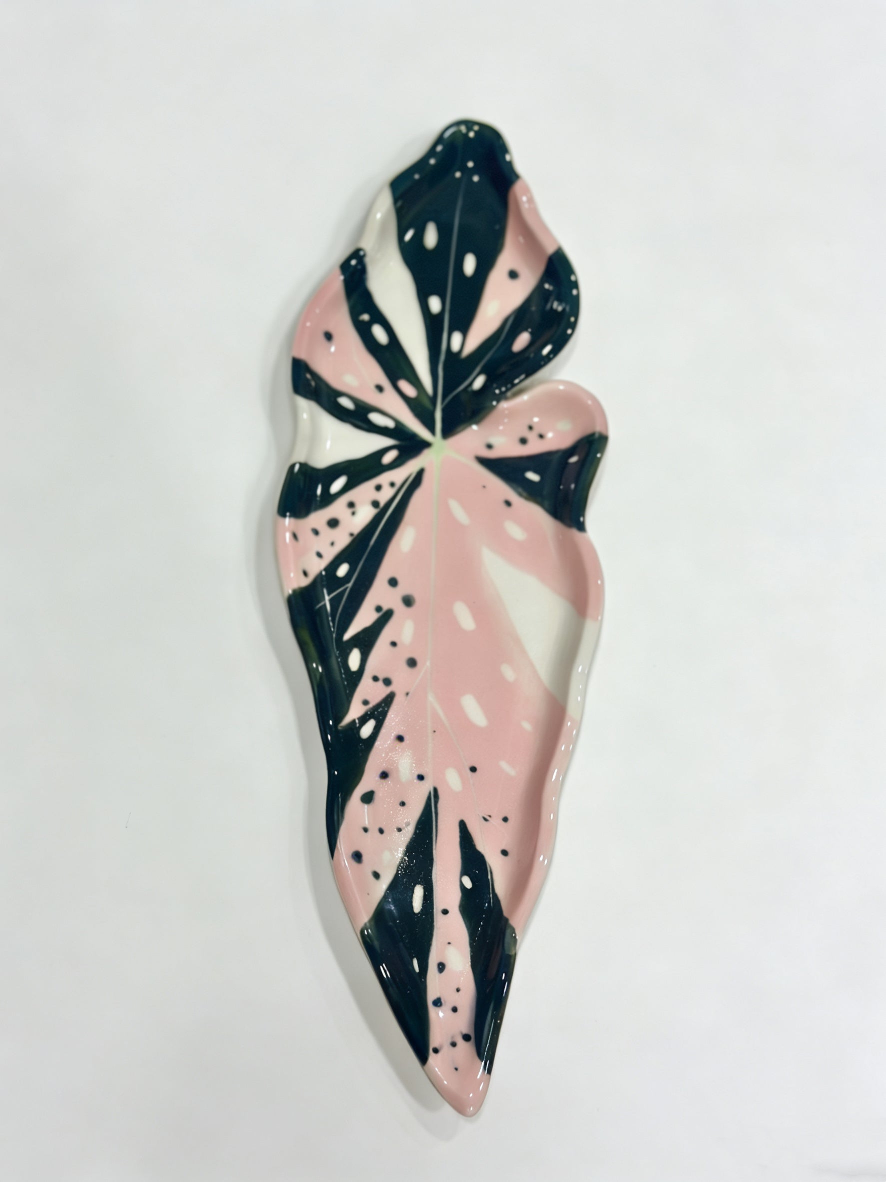 Polka Dot Begonia Tray
